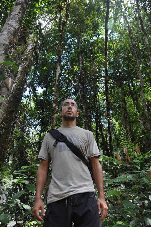Caminhando na floresta amazônica, próximo à Presidente Figueiredo - AM